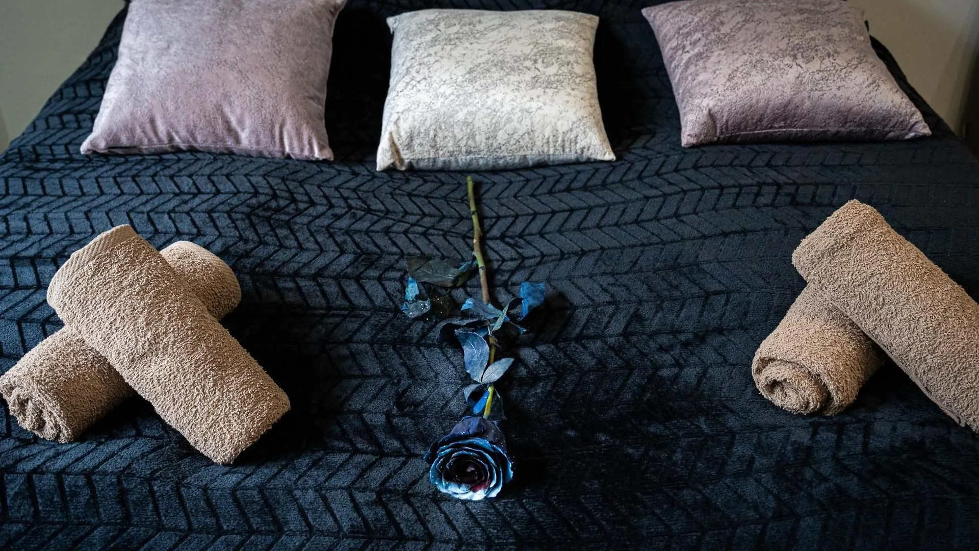 Modern Deluxe Suite Prag Tjeckien